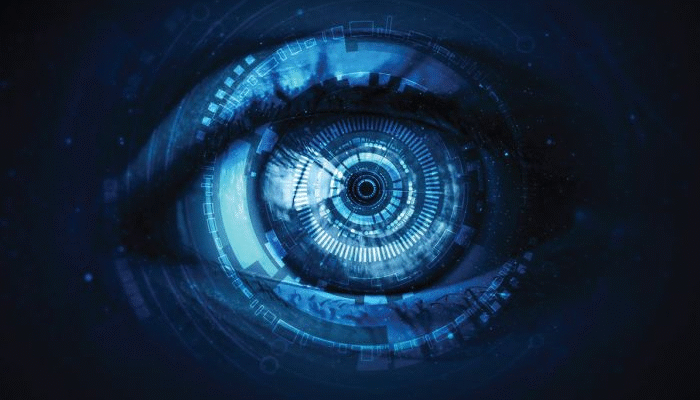 Surveillance State